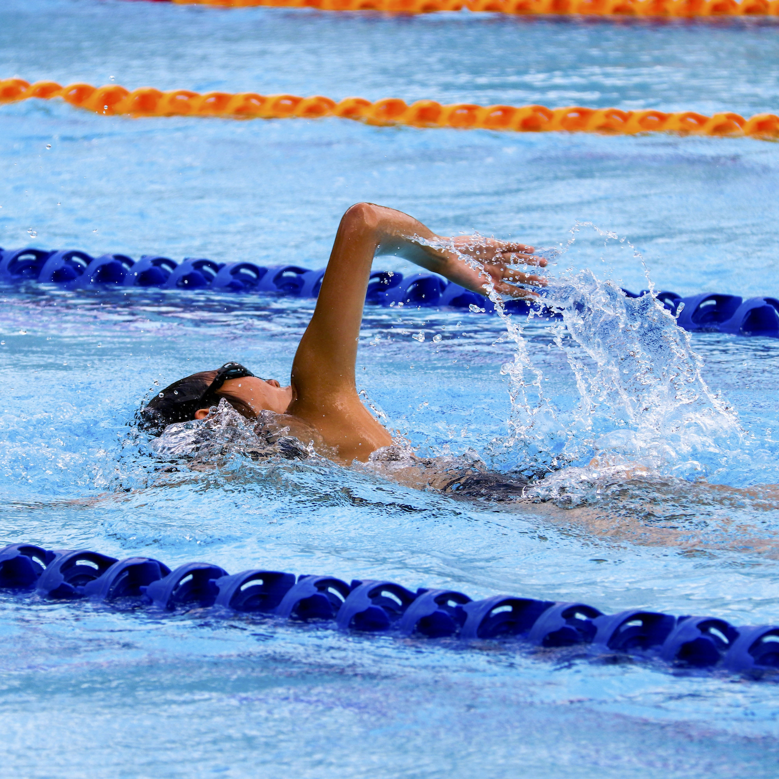 Piscine Signorelli